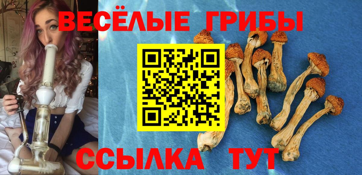 купить наркоту  Вход с VPN  Выборг  Псилоцибиновые грибы мухоморы 